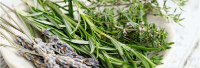 Herbes de provence
