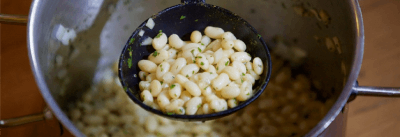 Purée de haricots blancs
