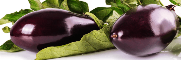 aubergine