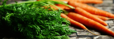 carottes