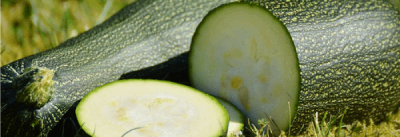 courgette