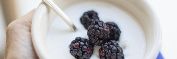 yogurt