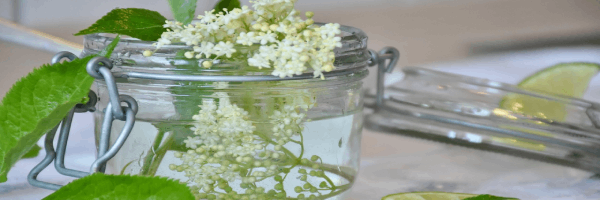 Sirop de fleur de sureau