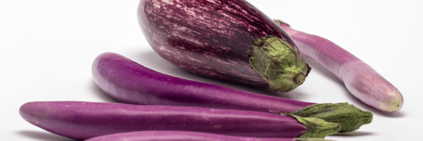 aubergine