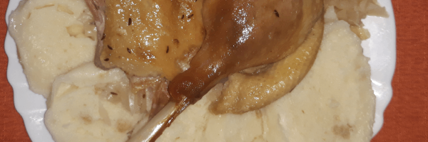 oie à l'instar de Visé