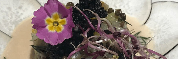 Tartare de lentilles champignons